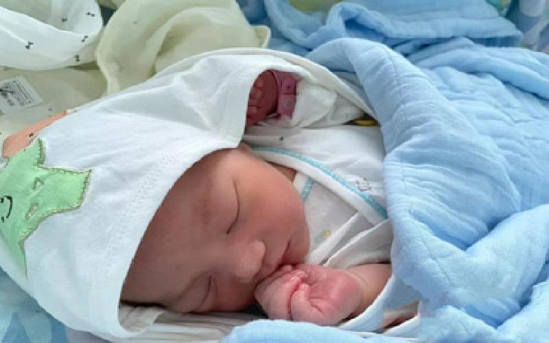 试管花瓶粘土教程代生