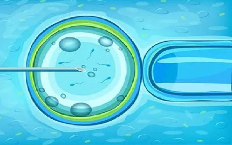 农村试管补助吗代生